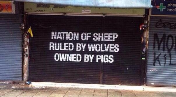 Nation_of_Sheep